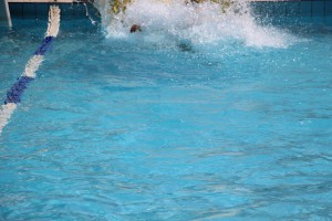 IMG 0416